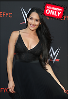 Brie Bella nikki Bella WWE FYC Event in Los Angeles 6th June 2018
2482x3600 1.9 mb
Viewed 1 time
@BestEyeCandy.com