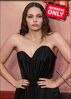 Celebrity Photo: Dafne Keen
2456x3438 3.6 mb
Viewed 0 times
@BestEyeCandy.com
