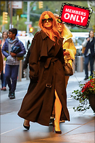 Celebrity Photo: Isla Fisher
2000x3000 2.9 mb
Viewed 0 times
@BestEyeCandy.com