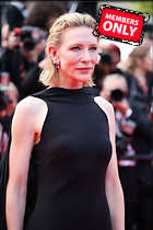 Celebrity Photo: Cate Blanchett
3648x5472 2.2 mb
Viewed 0 times
@BestEyeCandy.com
