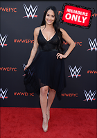 Brie Bella nikki Bella WWE FYC Event in Los Angeles 6th June 2018
3000x4261 1.8 mb
Viewed 1 time
@BestEyeCandy.com