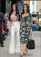 Brie Bella nikki Bella and at Strahan Sara TV show New York USA 19 June 2019 x47
1200x1680 299 kb
Viewed 7 times
@BestEyeCandy.com