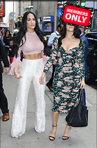 Brie Bella nikki Bella and at Strahan Sara TV show New York USA 19 June 2019 x47
2832x4320 2.7 mb
Viewed 1 time
@BestEyeCandy.com
