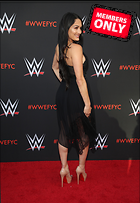 Brie Bella nikki Bella WWE FYC Event in Los Angeles 6th June 2018
2416x3500 1.7 mb
Viewed 1 time
@BestEyeCandy.com