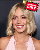 Celebrity Photo: Sydney Sweeney
5135x6419 5.3 mb
Viewed 1 time
@BestEyeCandy.com