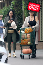 Brie Bella nIKKI and Out Shopping for Pumpkins in Napa Valley 09-20-2024
2140x3210 4.6 mb
Viewed 1 time
@BestEyeCandy.com