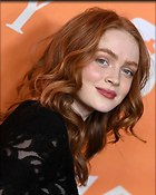 Celebrity Photo: Sadie Sink
1197x1492   163 kb
Viewed 4 times
@BestEyeCandy.com