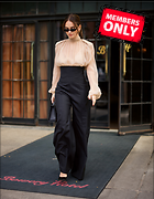 Celebrity Photo: Lily James
2722x3500 2.5 mb
Viewed 1 time
@BestEyeCandy.com