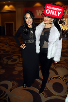 Brie Bella nikki Bella seen at the Boss CEOs panel in Las Vegas NV 07.02.2020 x25
2329x3500 1.6 mb
Viewed 1 time
@BestEyeCandy.com