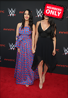 Brie Bella nikki Bella WWE FYC Event in Los Angeles 6th June 2018
2500x3600 2.8 mb
Viewed 1 time
@BestEyeCandy.com