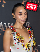 Celebrity Photo: Zoe Saldana
1995x2592 1.8 mb
Viewed 1 time
@BestEyeCandy.com