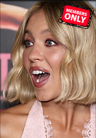 Celebrity Photo: Sydney Sweeney
2456x3500 3.6 mb
Viewed 2 times
@BestEyeCandy.com