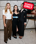 Celebrity Photo: Margot Robbie
3798x4664 1.5 mb
Viewed 0 times
@BestEyeCandy.com