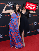 Brie Bella nikki Bella WWE FYC Event in Los Angeles 6th June 2018
3000x3871 2.1 mb
Viewed 1 time
@BestEyeCandy.com