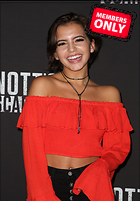 Celebrity Photo: Isabela Merced
2504x3600 2.7 mb
Viewed 0 times
@BestEyeCandy.com