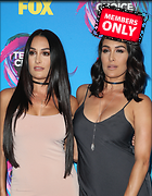 Brie Bella nikki Bella Teen Choice Awards Los Angeles 13 August 2017 x19
2804x3600 1.9 mb
Viewed 1 time
@BestEyeCandy.com