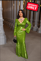 Celebrity Photo: Salma Hayek
3700x5549 3.3 mb
Viewed 0 times
@BestEyeCandy.com