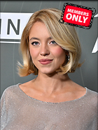 Celebrity Photo: Sydney Sweeney
3149x4200 2.8 mb
Viewed 1 time
@BestEyeCandy.com