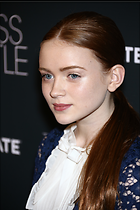 Celebrity Photo: Sadie Sink
2336x3504   1.3 mb
Viewed 4 times
@BestEyeCandy.com