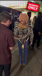 Celebrity Photo: Doja Cat
1968x3500 2.2 mb
Viewed 0 times
@BestEyeCandy.com